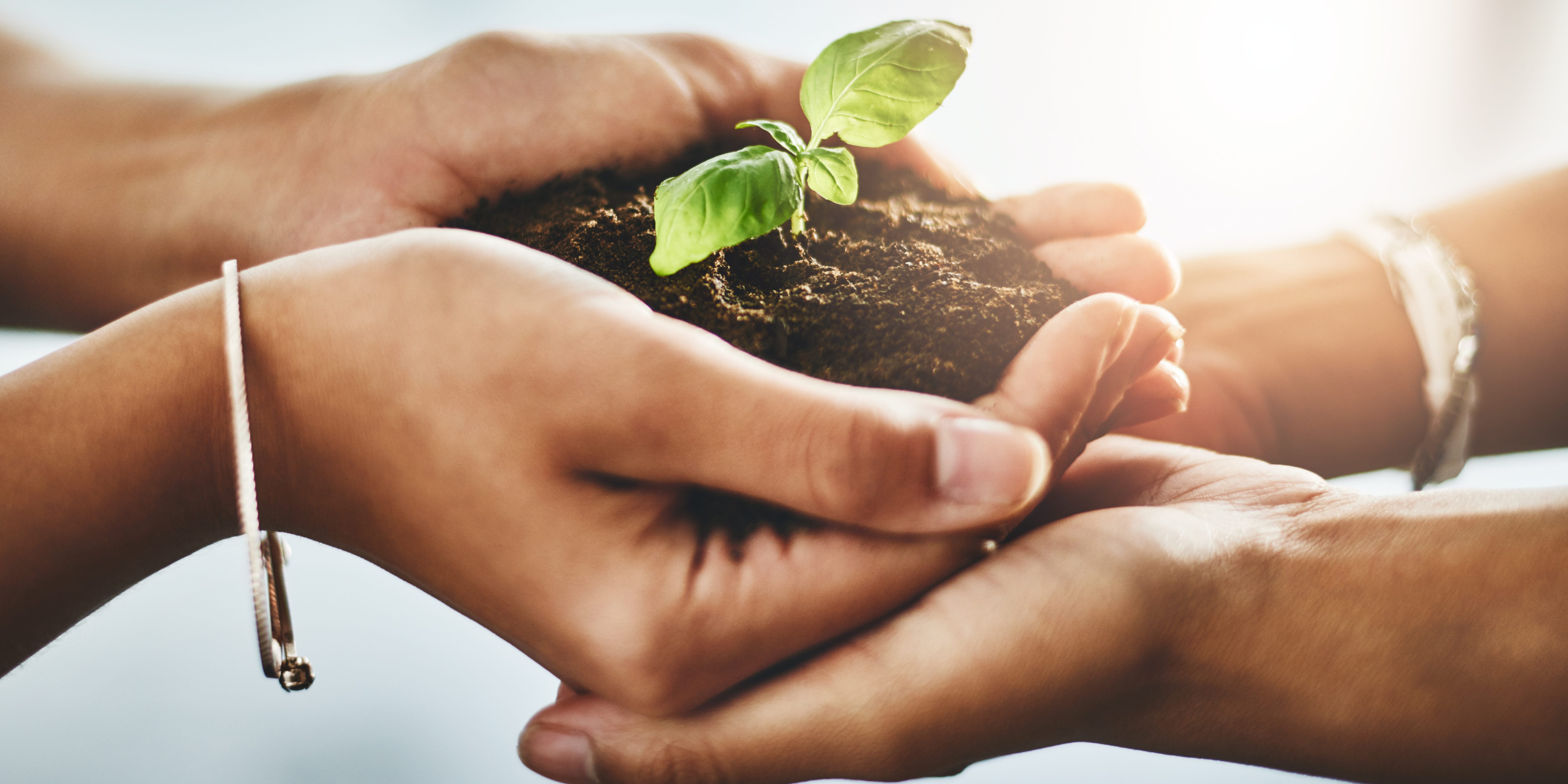 SBIR/STTR Partnership